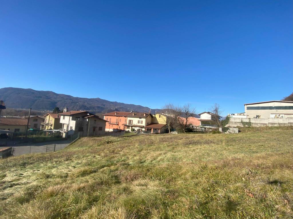 immagine annuncio 1 di 14