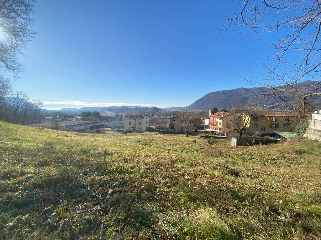immagine annuncio 11 di 14