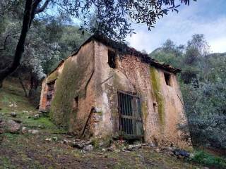 Terreno agricolo in vendita a camaiore 