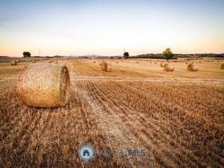 Terreno agricolo in vendita a monselice via vallongo