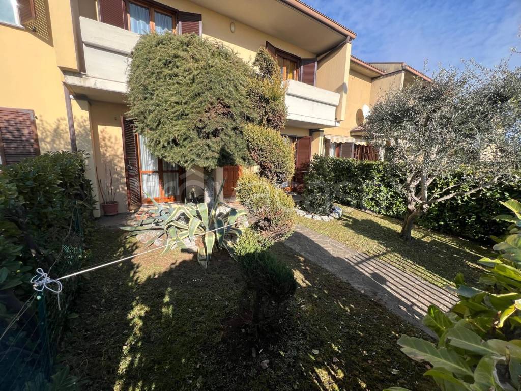 immagine annuncio 1 di 15
