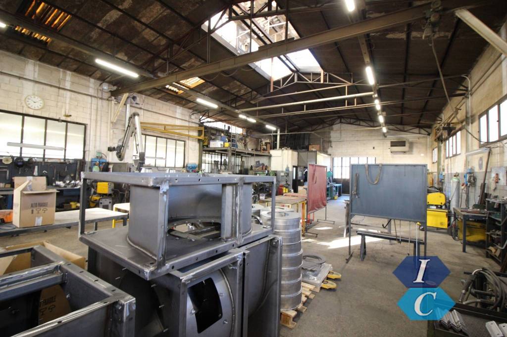 immagine annuncio 9 di 15