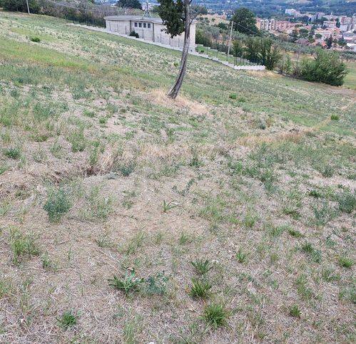 immagine annuncio 2 di 6