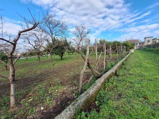 Terreno agricolo in vendita a sant'egidio del monte albino via catello troiano