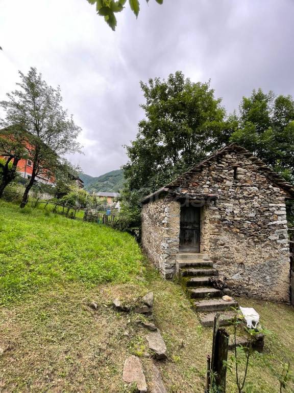 immagine annuncio 12 di 15