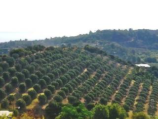 Terreno agricolo in vendita a soverato località caldarello s.n.c.