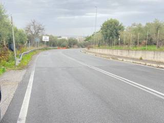 Terreno agricolo in vendita a frascati viale enrico fermi, 106