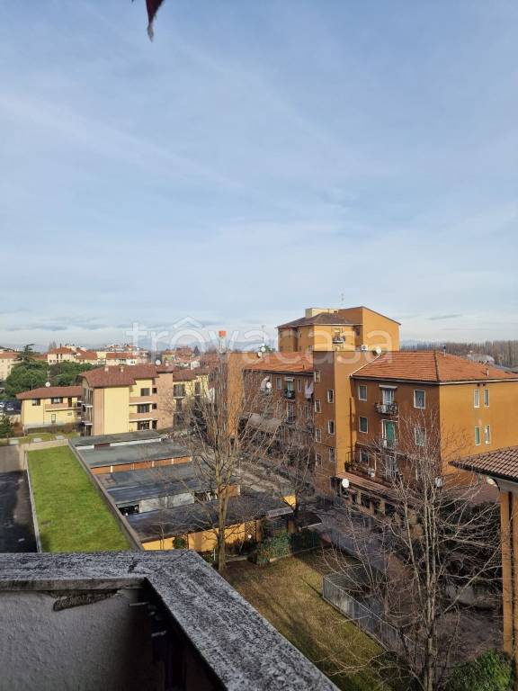 immagine annuncio 13 di 14