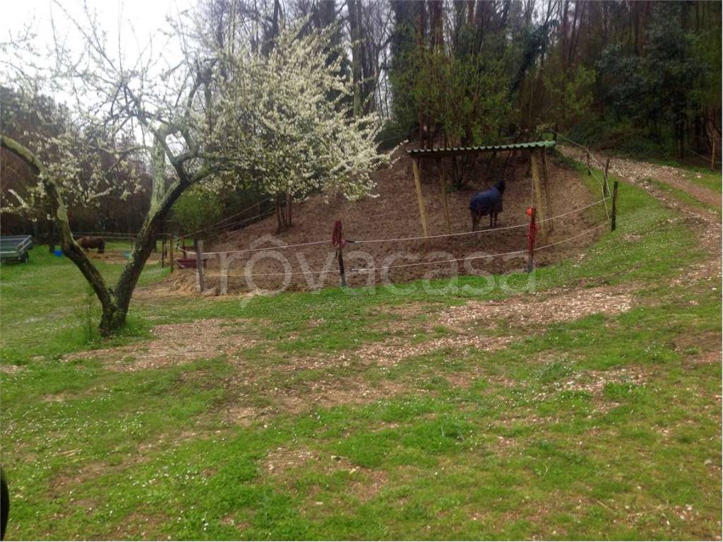 immagine annuncio 4 di 6