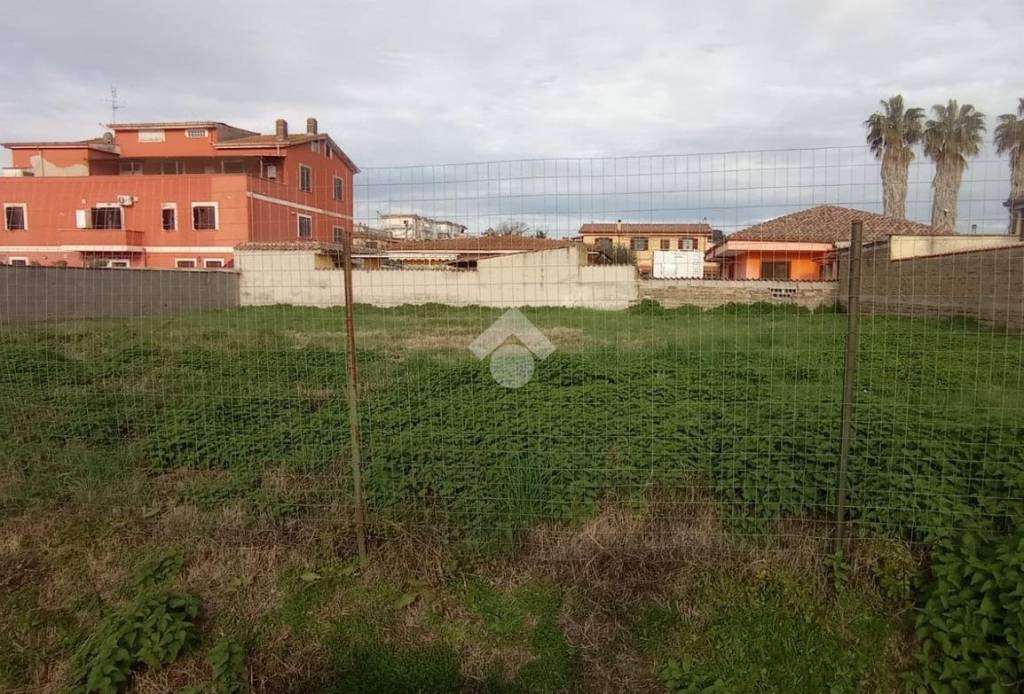 immagine annuncio 2 di 4