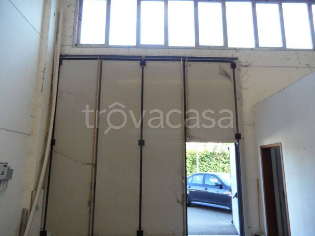 immagine annuncio 7 di 13