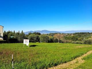 Terreno residenziale in vendita a capannoli 