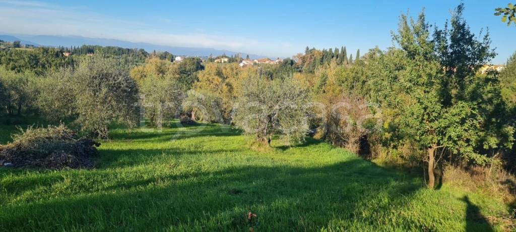 immagine annuncio 7 di 14