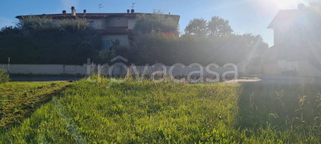 immagine annuncio 9 di 14