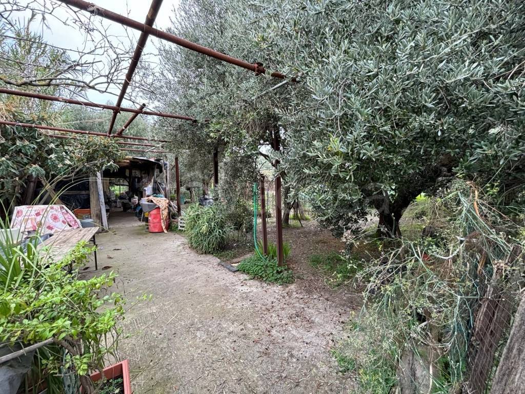 immagine annuncio 3 di 9