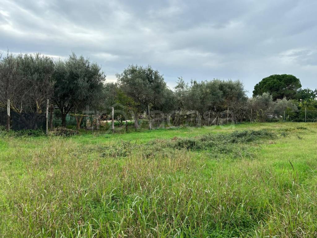 immagine annuncio 6 di 9