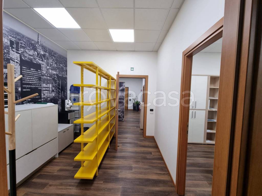 immagine annuncio 2 di 12