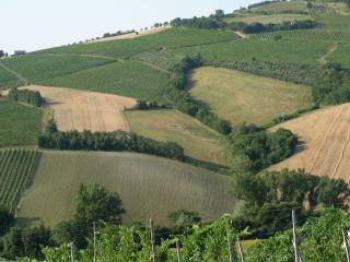 Terreno agricolo in vendita a poggio san marcello strada provinciale monteroberto montecarotto