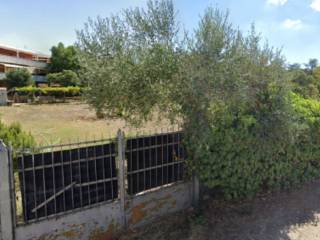 Terreno agricolo all'asta a grosseto strada di san luigi