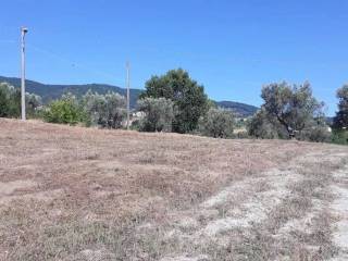 Terreno agricolo in vendita a marano principato 