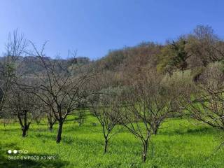 Terreno agricolo in vendita a rende 