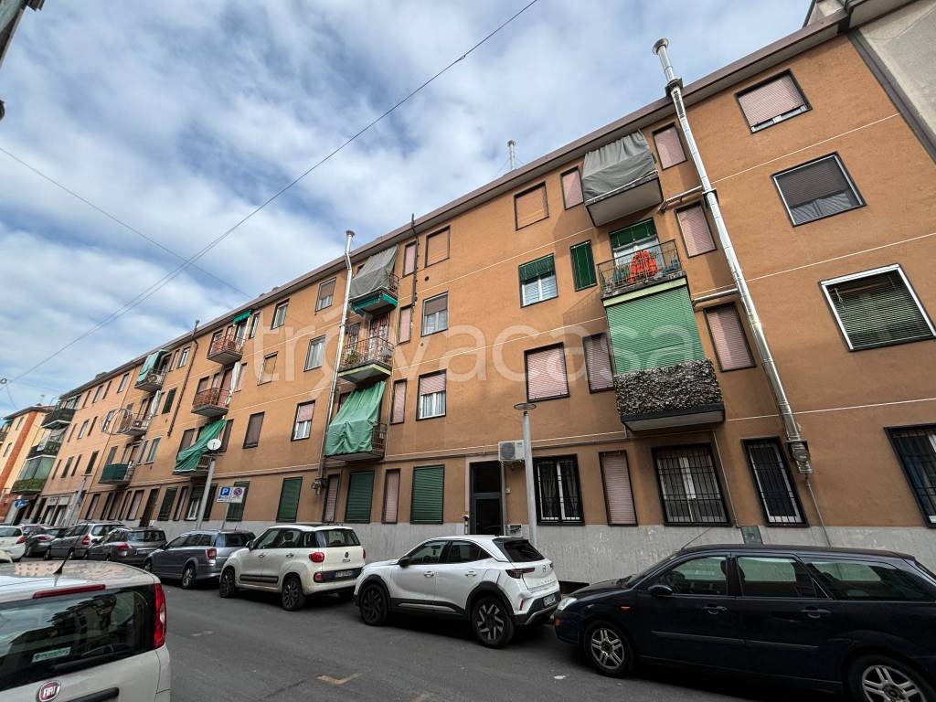 immagine annuncio 6 di 7