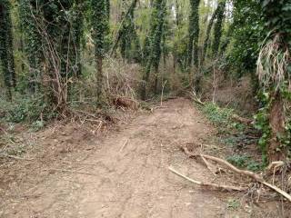 Terreno agricolo in vendita a cosenza 