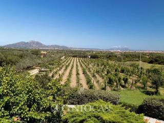 Villa in vendita a olbia 