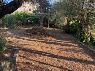 Terreno agricolo in vendita a mendicino 