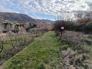 Terreno agricolo in vendita a mendicino 