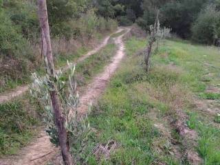 Terreno agricolo in vendita a rende 