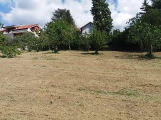 Terreno agricolo in vendita a mendicino 