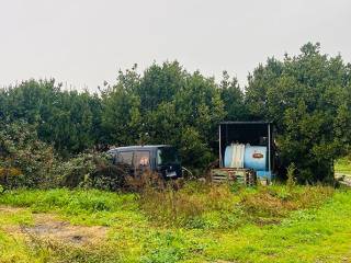 Terreno agricolo all'asta a castiglione della pescaia località ponti di badia