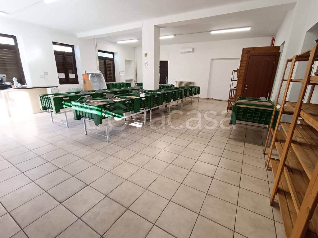 immagine annuncio 6 di 14