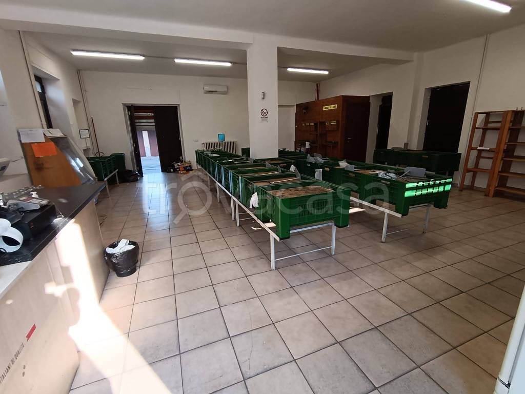 immagine annuncio 8 di 14