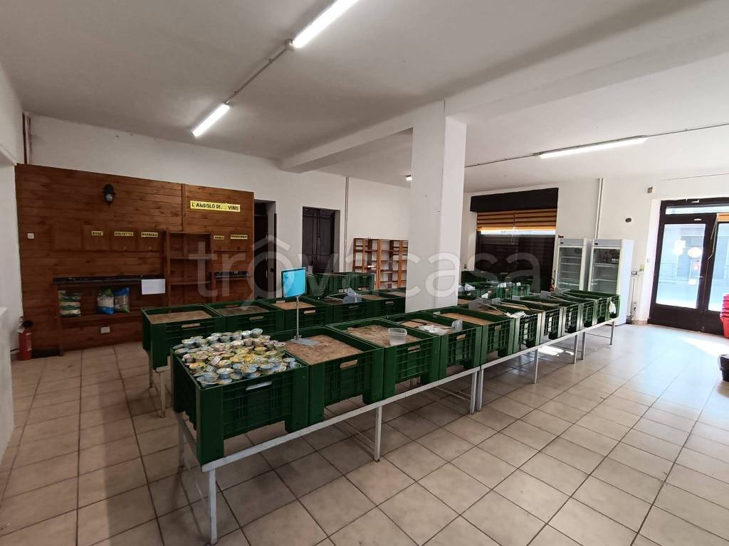 immagine annuncio 9 di 14