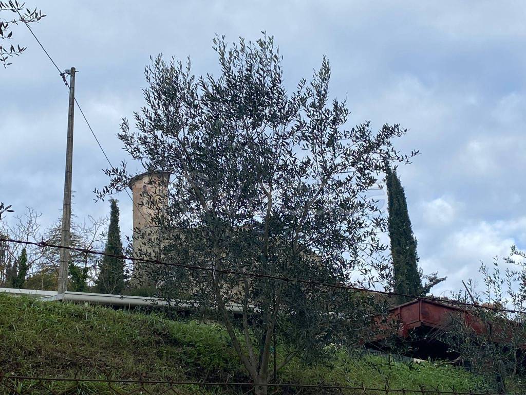 immagine annuncio 3 di 7