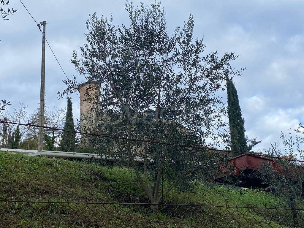 immagine annuncio 4 di 7