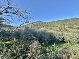 Terreno agricolo in vendita a gavorrano 