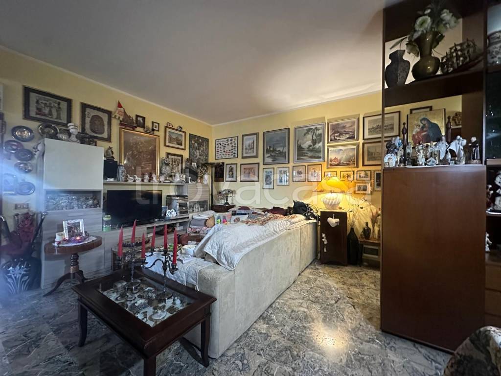 immagine annuncio 3 di 12