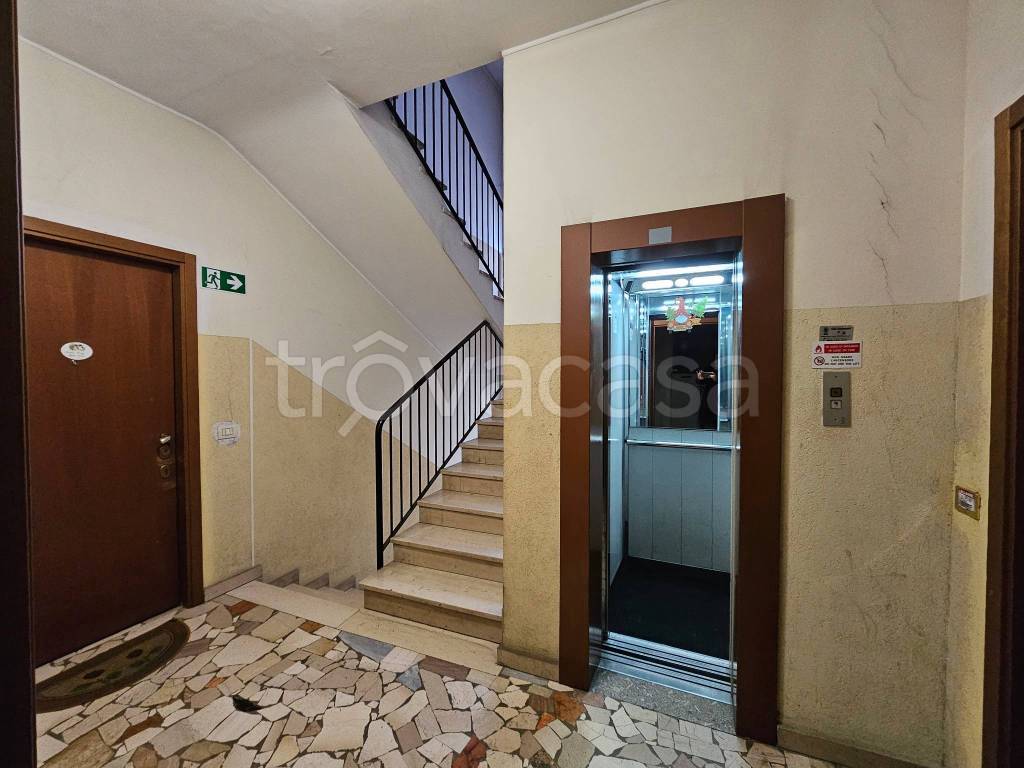 immagine annuncio 6 di 8