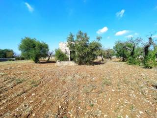 Terreno agricolo in vendita a castellana grotte alberobello s.n.c.