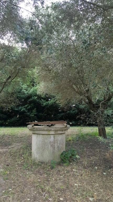 immagine annuncio 5 di 7