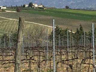 Terreno agricolo in vendita a bevagna 