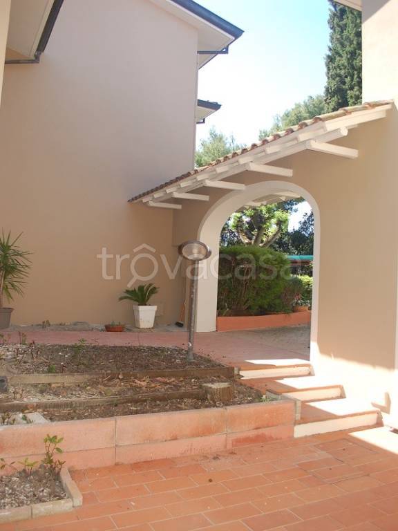 immagine annuncio 7 di 12