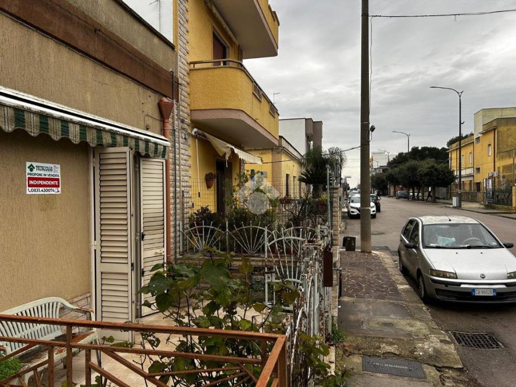 immagine annuncio 1 di 14