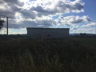 Terreno agricolo in vendita a spello 