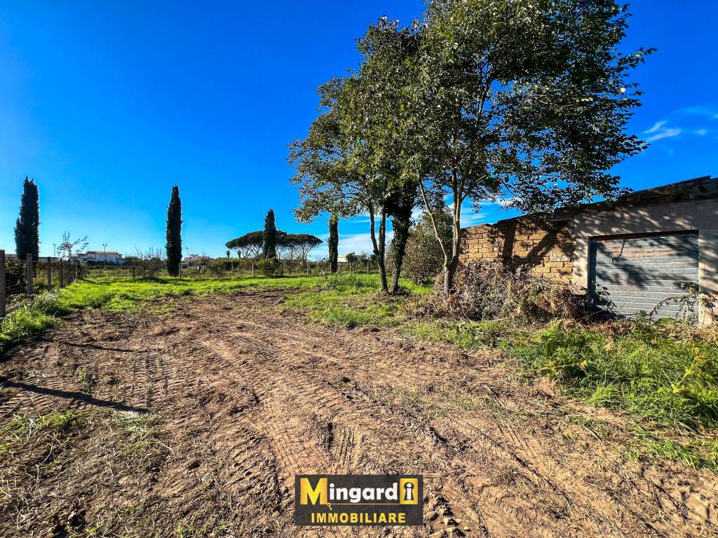 immagine annuncio 3 di 9