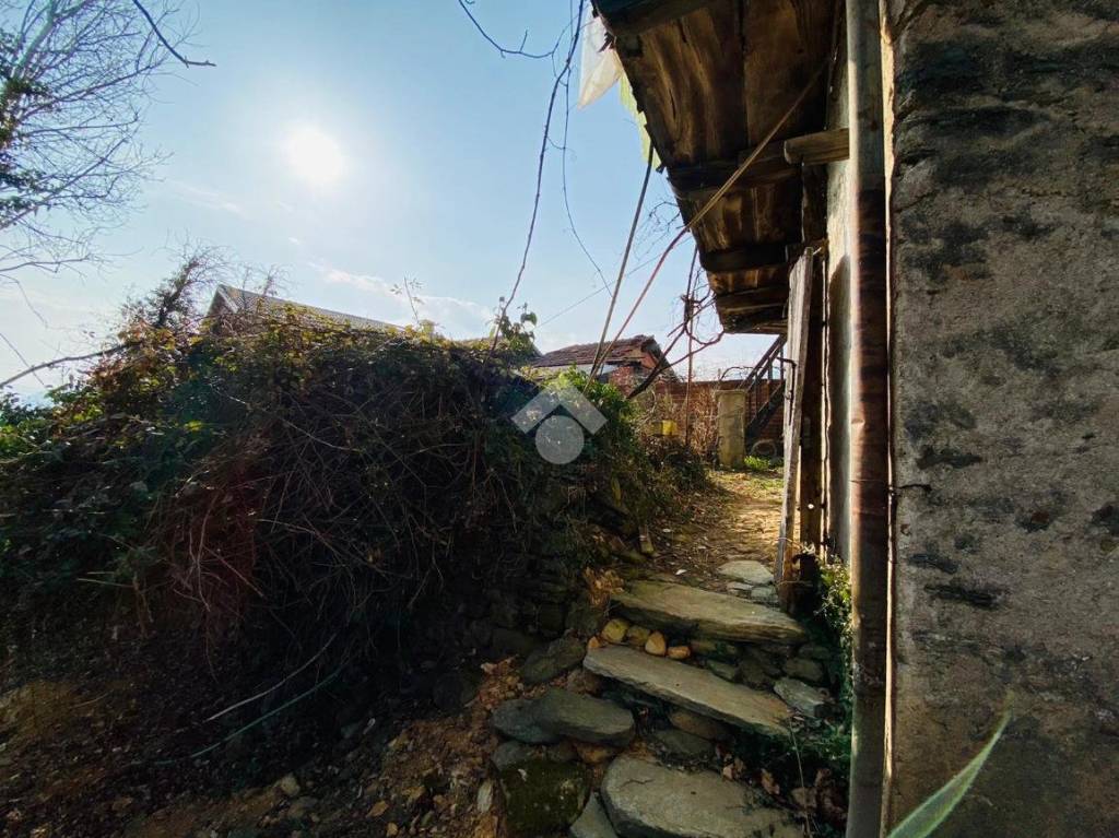 immagine annuncio 1 di 8