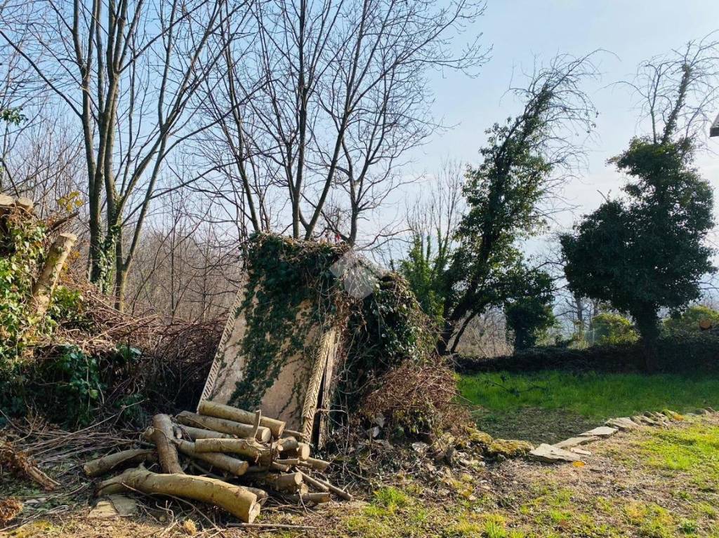 immagine annuncio 6 di 8